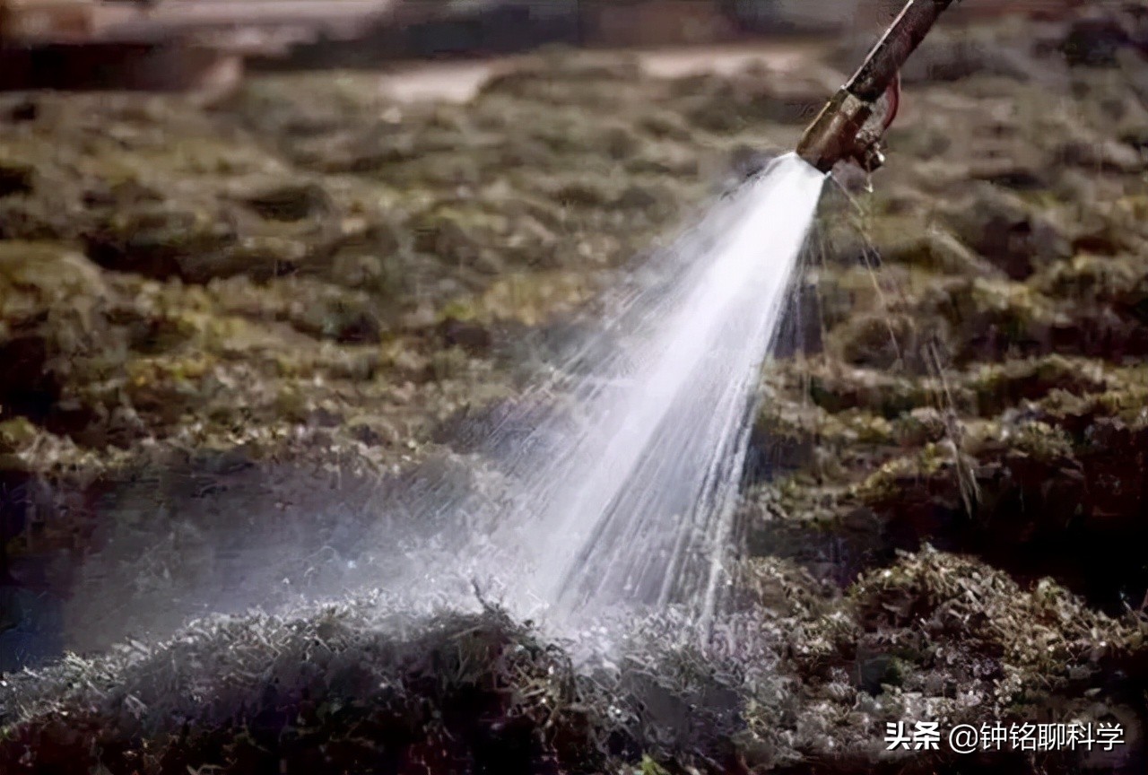 9年的普洱茶还能喝吗有毒吗,十多年的普洱熟茶还能喝吗有毒吗