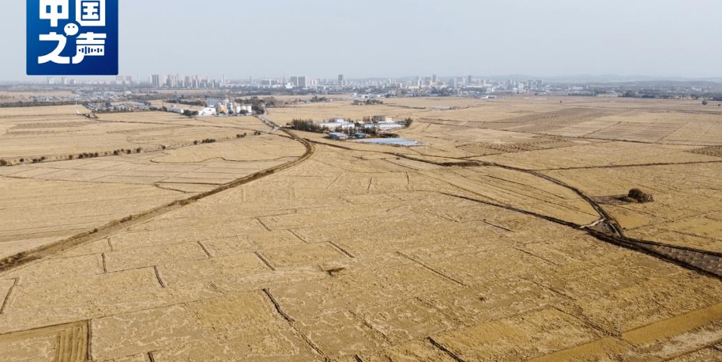 “你是黑龙江那个二亮吗？”他当起了大米带货主播