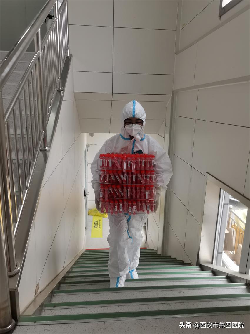 健康中国全民抗疫,秦岭四宝抗疫