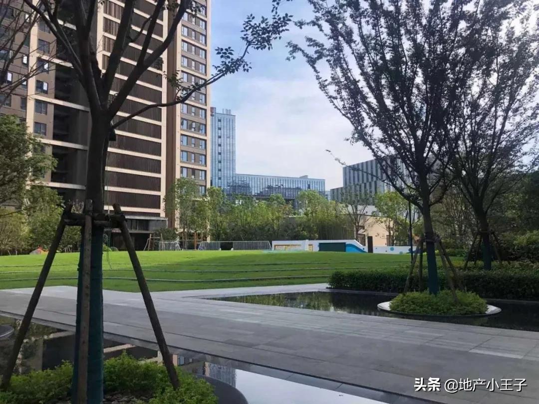 萧山科技城迟迟发展不起来,步子迈大了跑不动