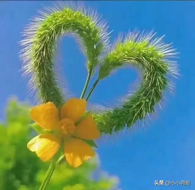 石头剪刀布必赢秘诀,石头剪刀布歌曲完整版