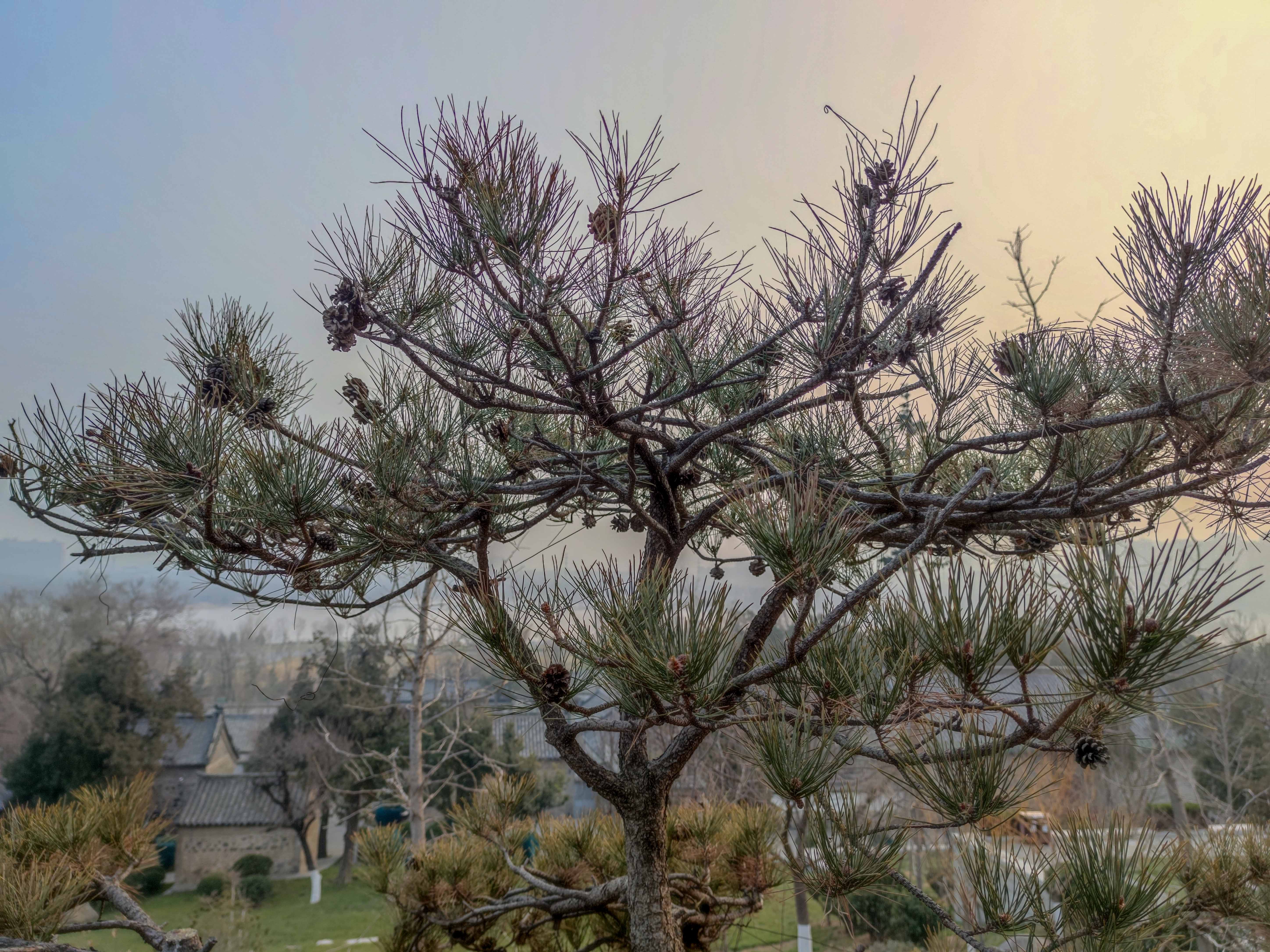 济南市大美华山,城市静谧