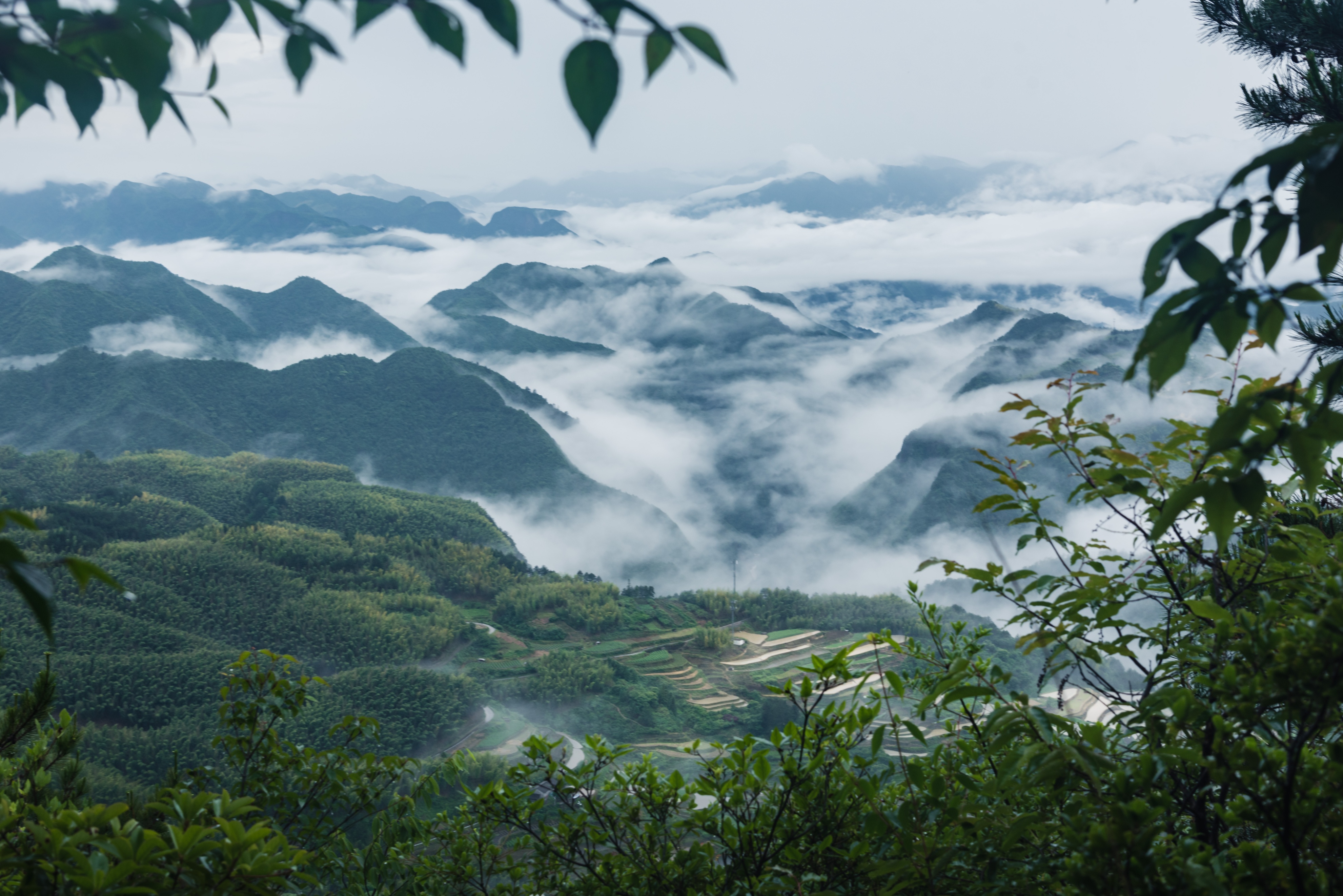 丽水遂昌旅游攻略一天游 (丽水遂昌被称旅游胜地)