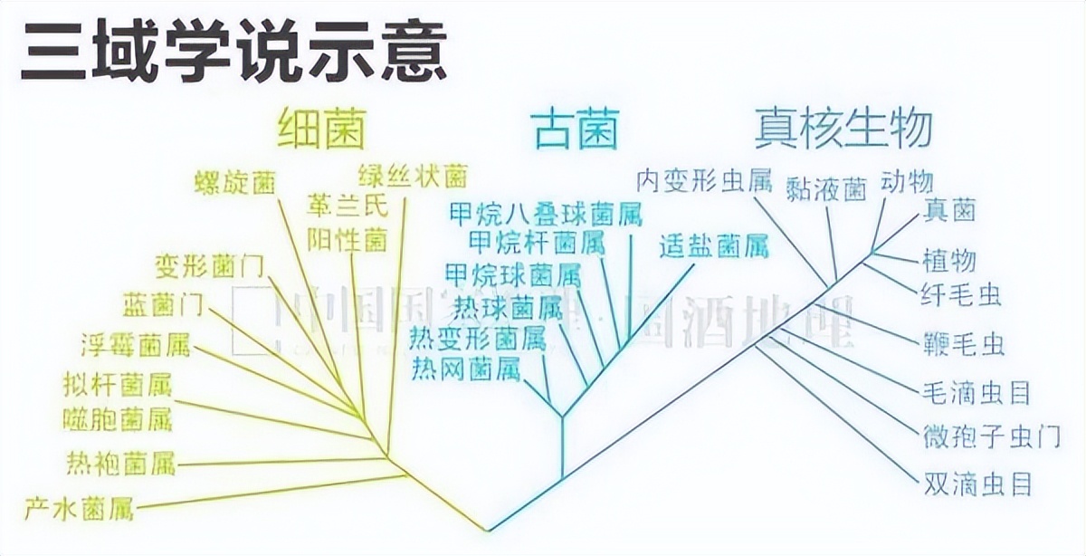 中科院微生物研究所白逢彦,中科院微生物研究所食用菌种