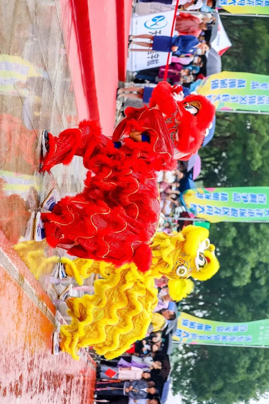 端午龙舟赛高清图片,龙舟赛图