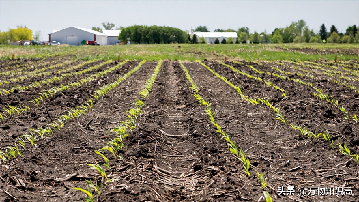 新西兰控告中国果农胜诉了吗,果农罚款