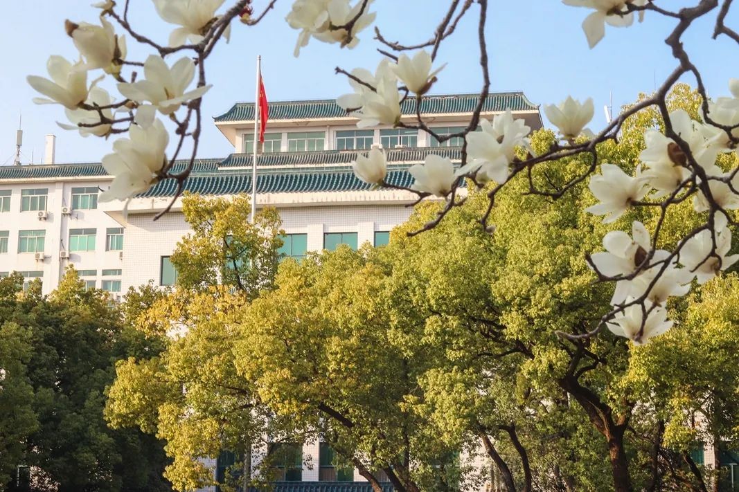 华中师范本硕是什么学历,华中师范3+2本硕