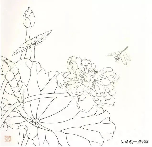 鍥界敾鑽疯姳鐢绘硶瑙嗛,娉煎ⅷ鑽疯姳鐢绘硶瑙嗛