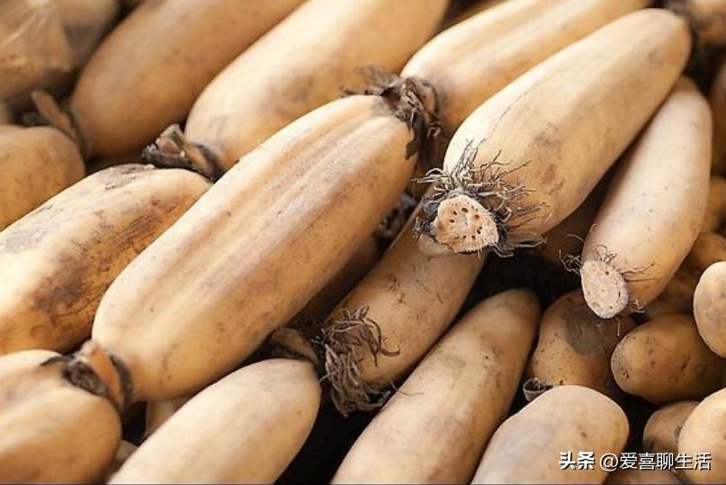 小暑的季节吃什么食材最好,意想不到的吃法小暑吃它正合适