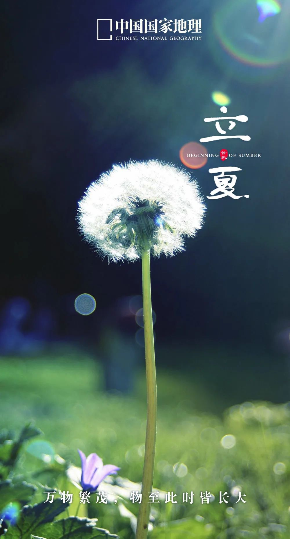 一年中最有智慧的节气图片,365天最美24节气图诞生惊艳国人