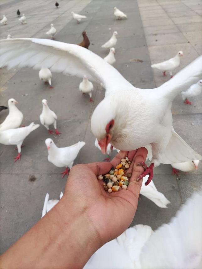 美丽校园行-2|历史生眼中的天津师范大学主校区