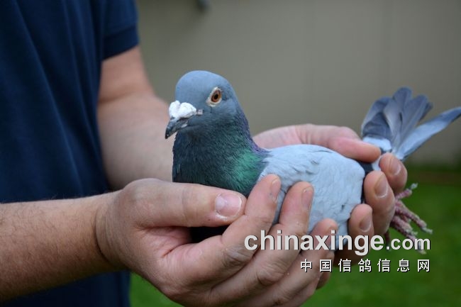 万里挑一的获奖者图片,万里挑一比赛视频