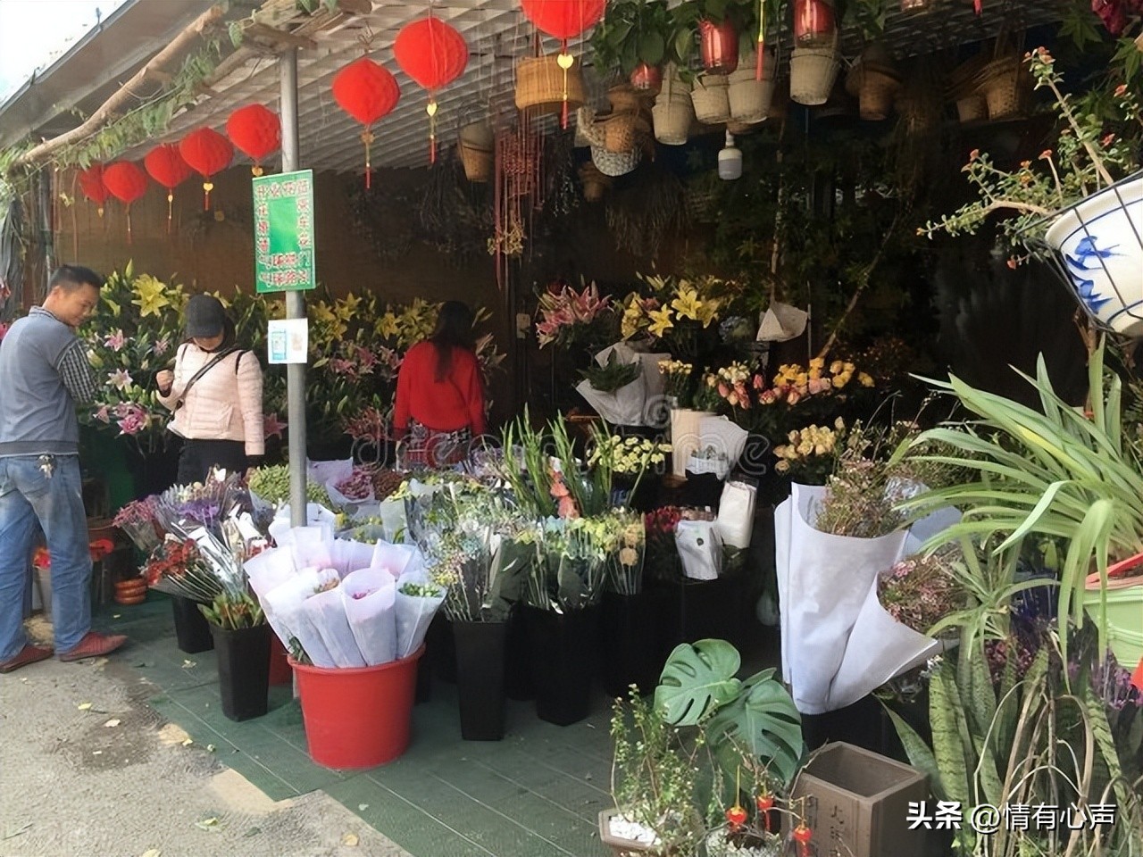 母亲节的鲜花怎么保存更长久,母亲节的鲜花