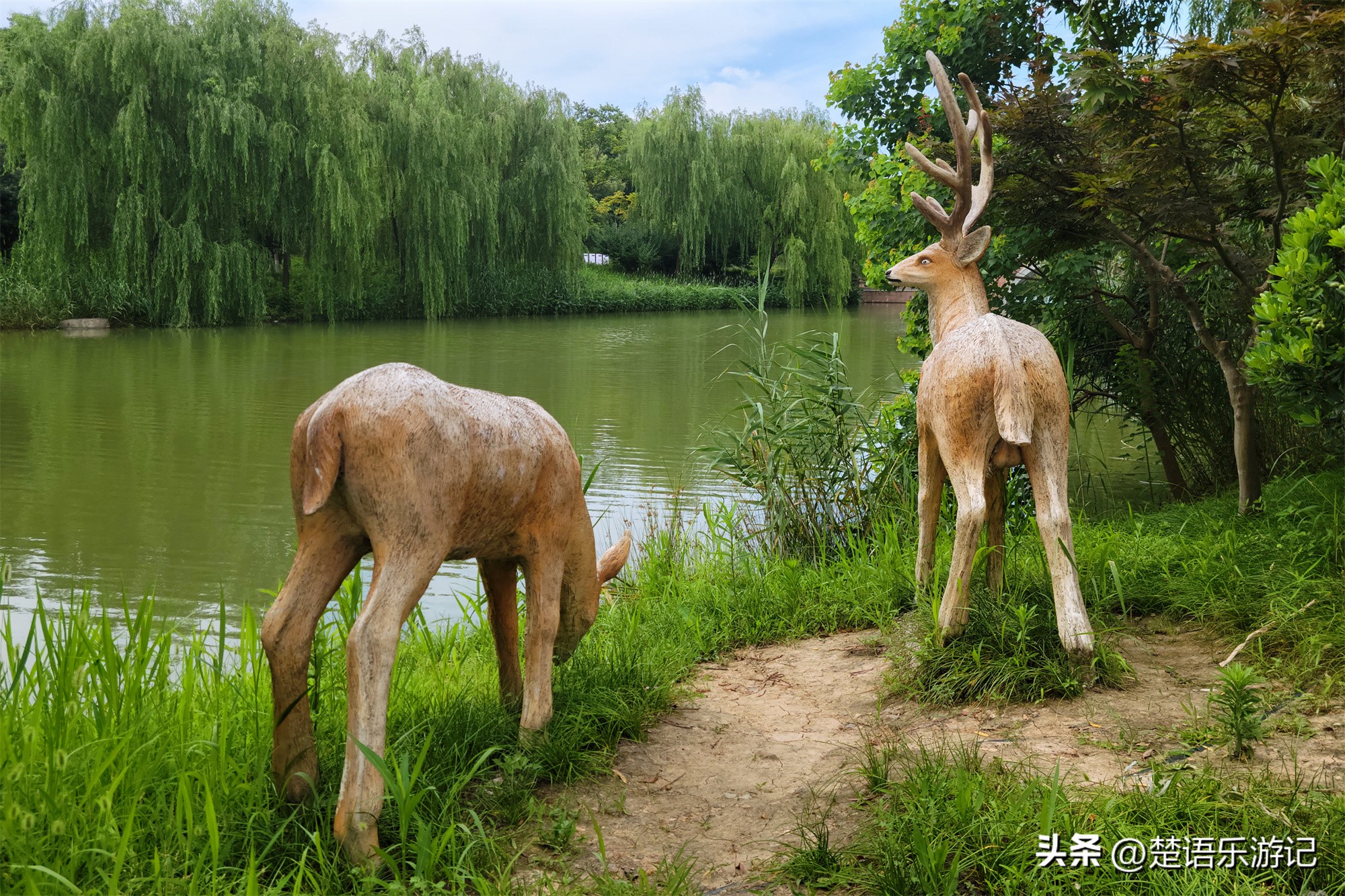 宁波附近向日葵花海在哪里,宁波向日葵花海打卡网红地