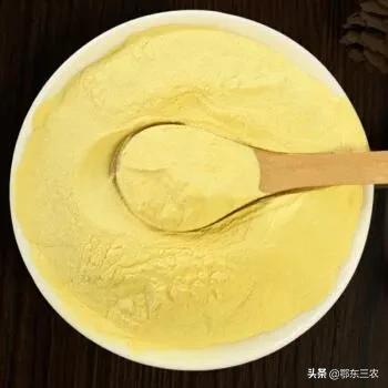 正宗松花粉多少钱一斤大连,长白山松花粉几月份采摘