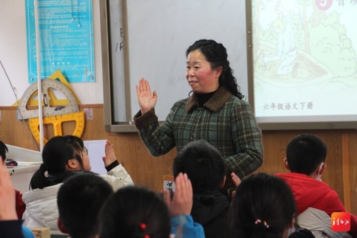 青白江的教育质量,青白江教育规划2020