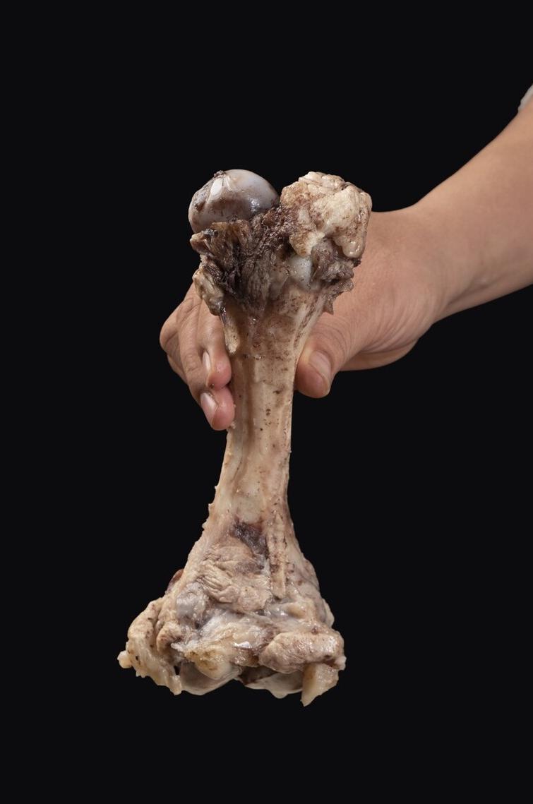 炖骨头汤加什么料,炖骨头汤里面加什么菜好吃