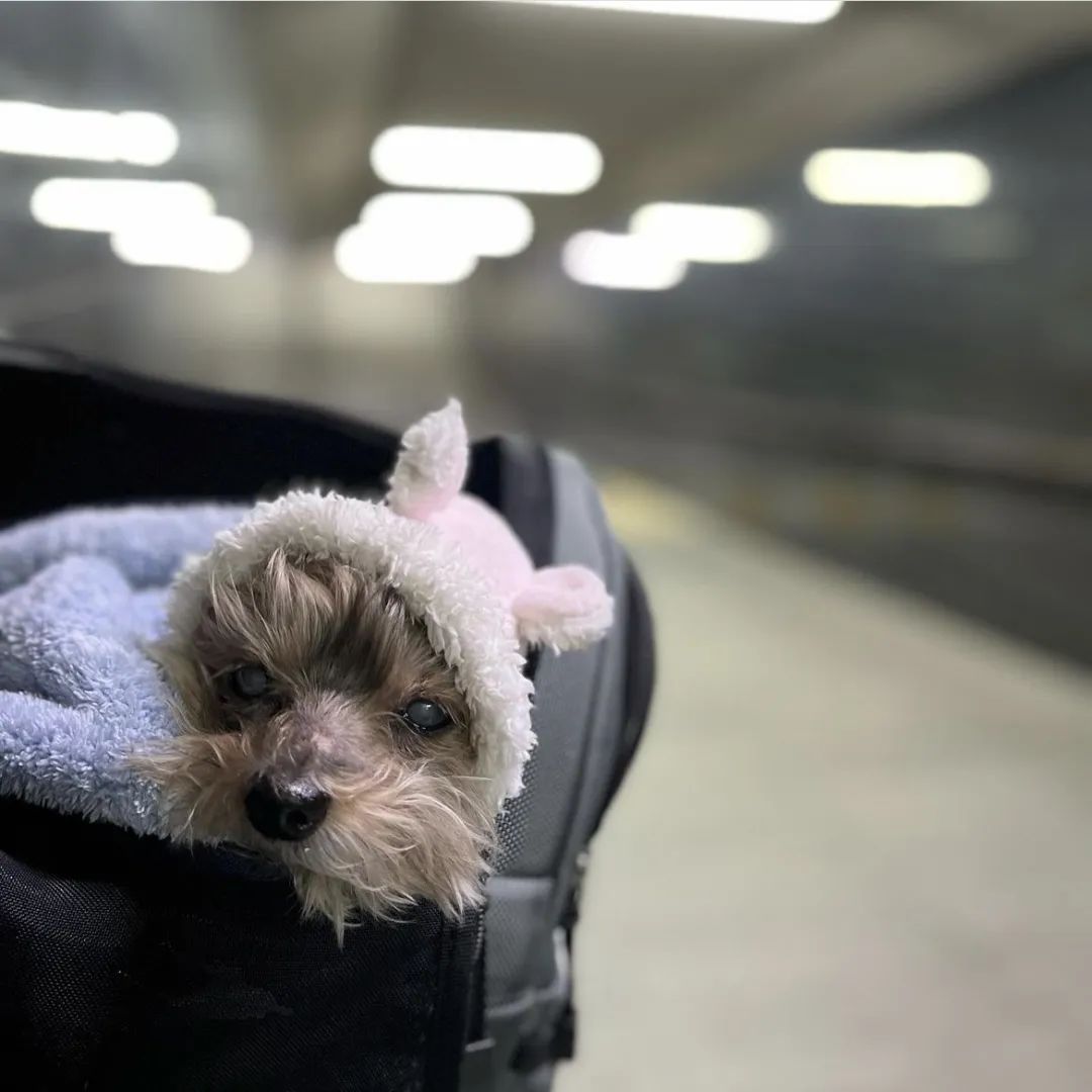 干练金瑞亨,金瑞亨满屏少年感