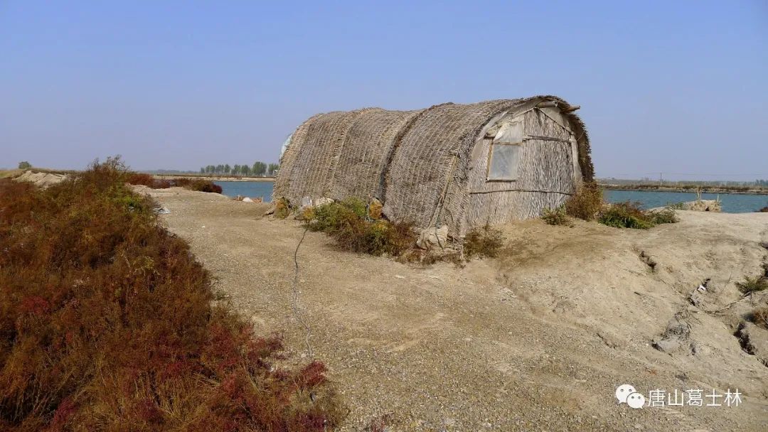 蚕沙口，一个记载着唐山海洋故事的小渔村