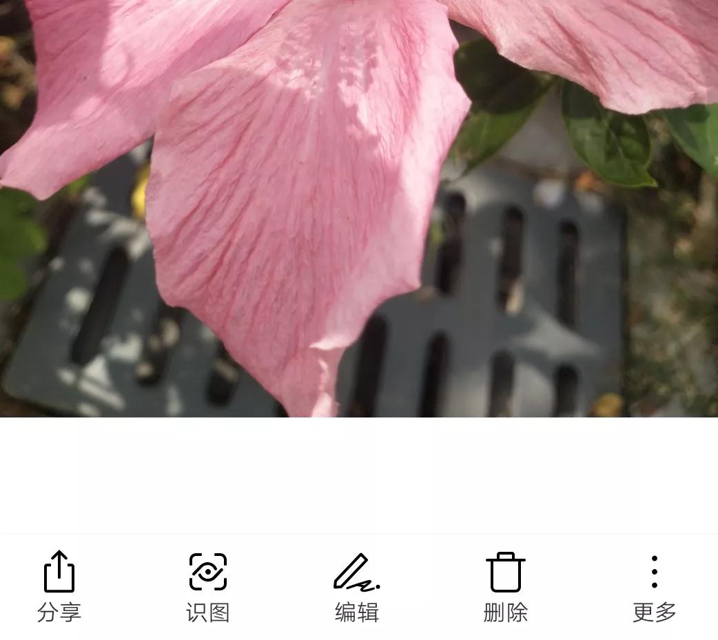 华为手机怎么识图认物,手机怎么识图