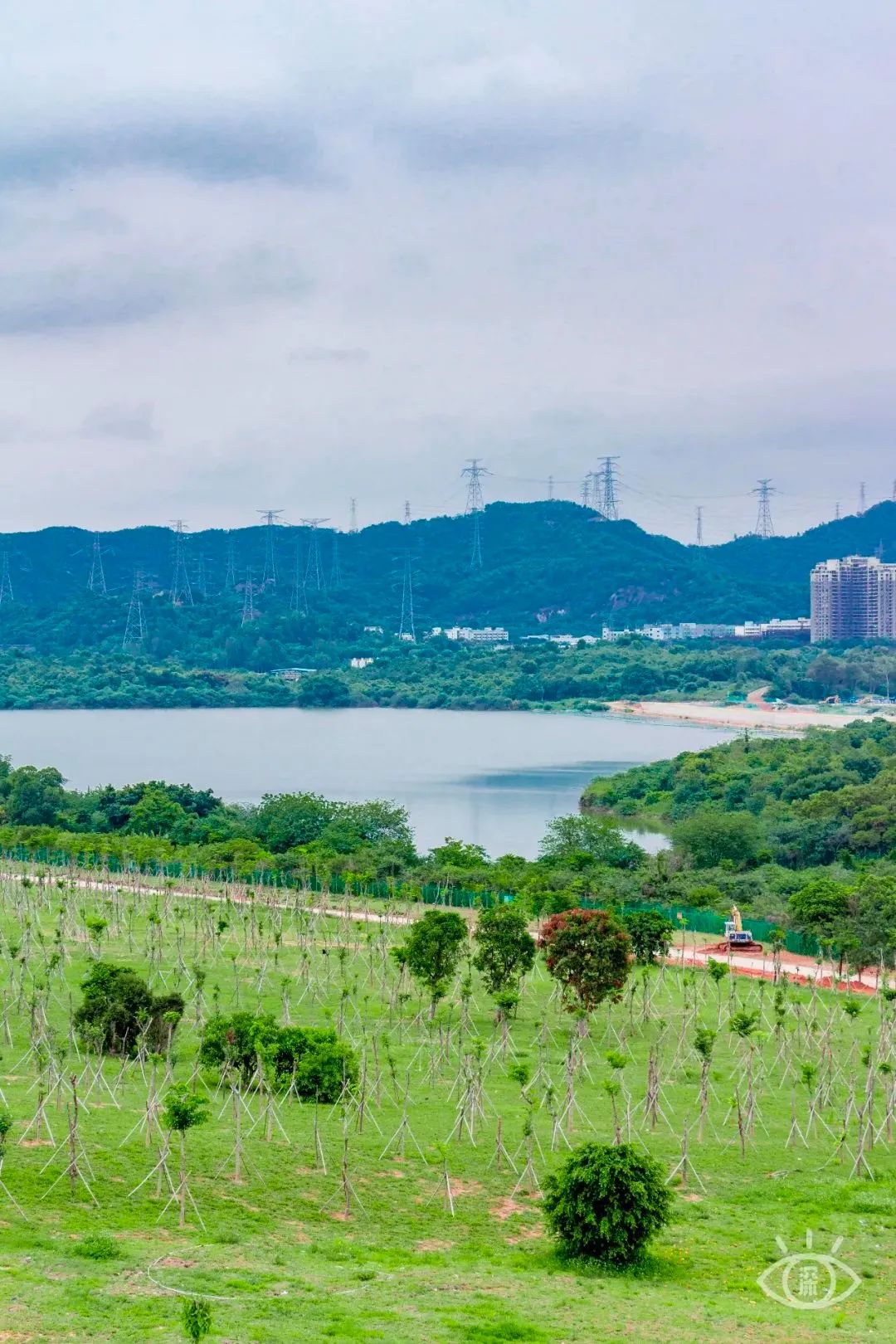深圳周末带孩子免费游玩好去处,周末去哪玩推荐深圳