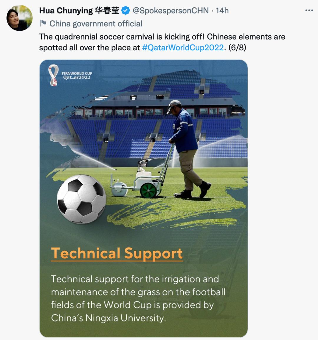 世界杯中国元素视频,“中国元素”闪耀世界杯