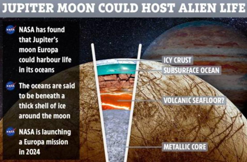 木卫二上的海洋中存在的外星生命 (木卫二有章鱼吗)