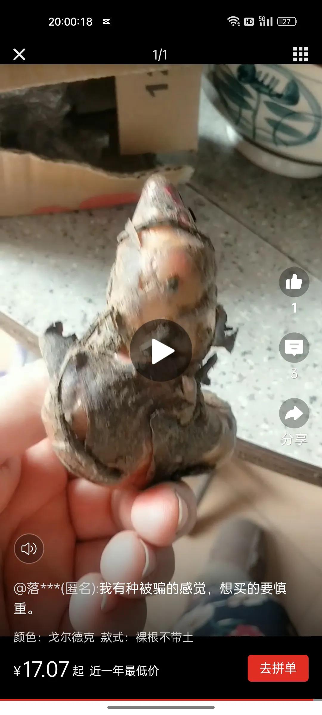 网购花卉养护骗局揭秘,花卉骗局揭秘大全图解