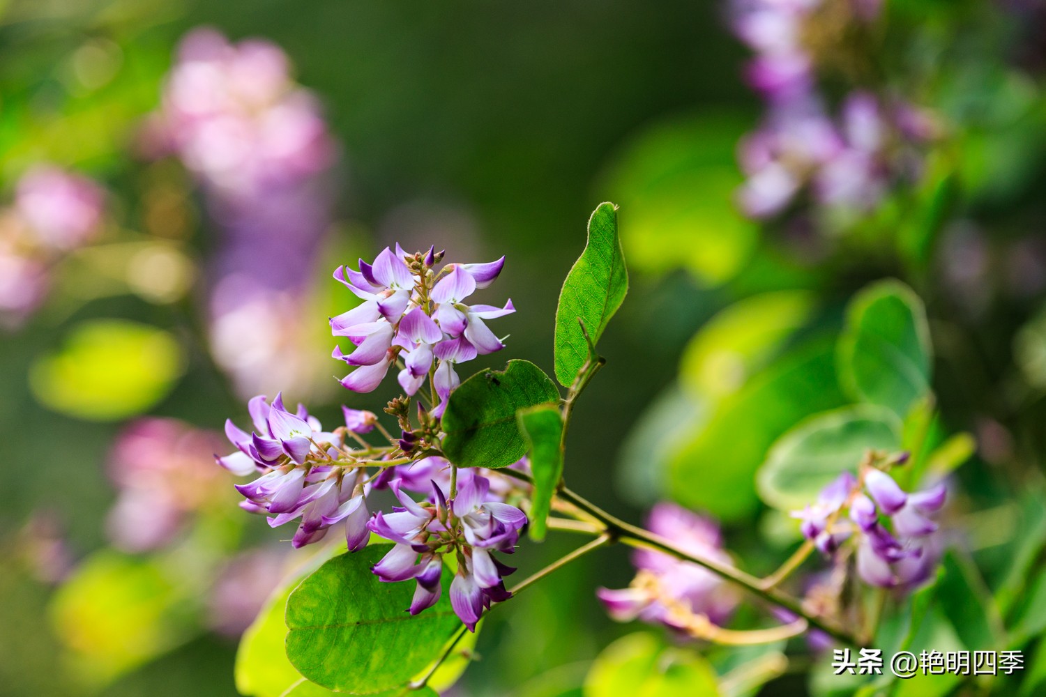 平谷老象峰风景区,北京平谷老象峰