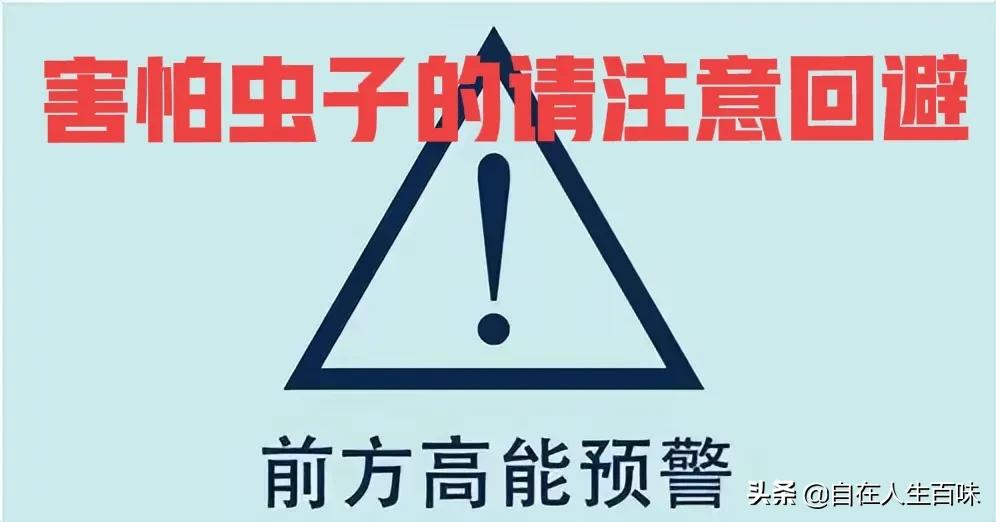 农村夏天有哪些虫子,夏天农村最常见的虫