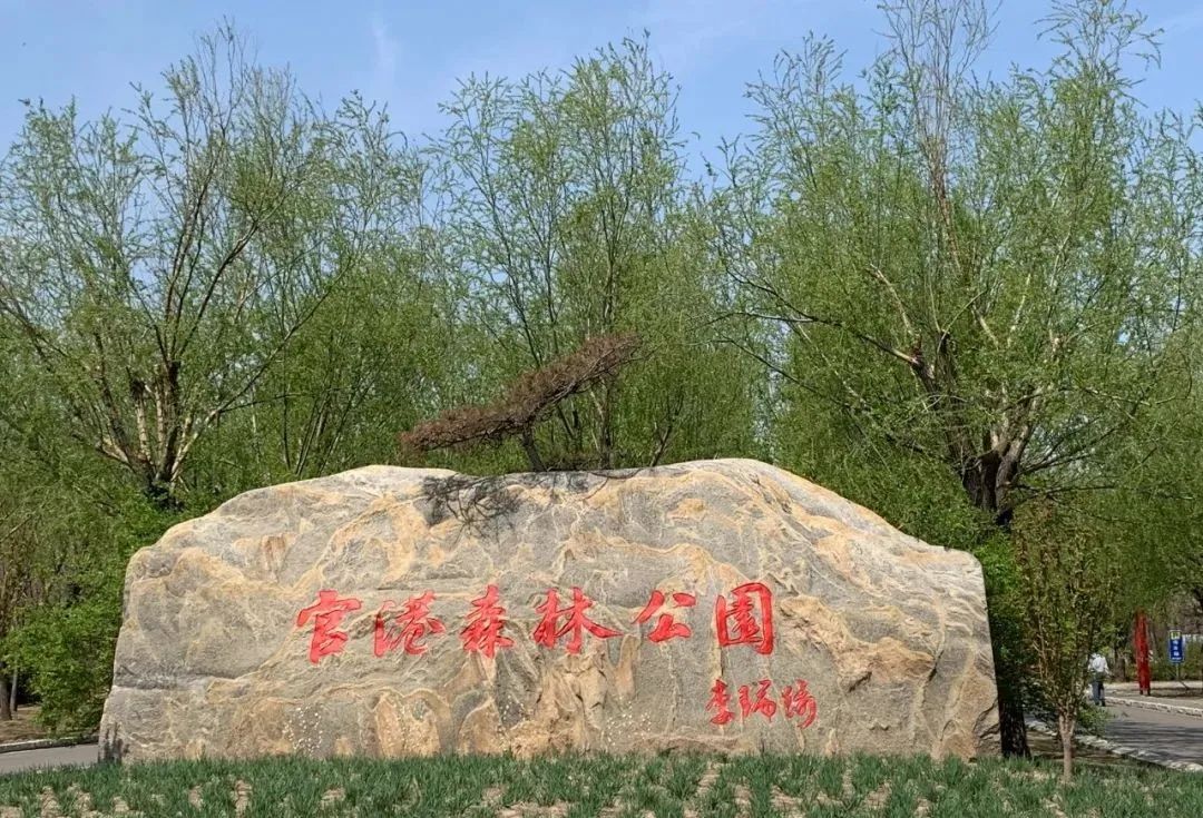 天津周边可生火的露营地,私藏天津小众露营地