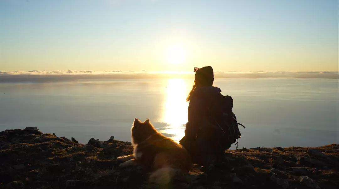 北极圈极夜生活,北极圈的极夜生活