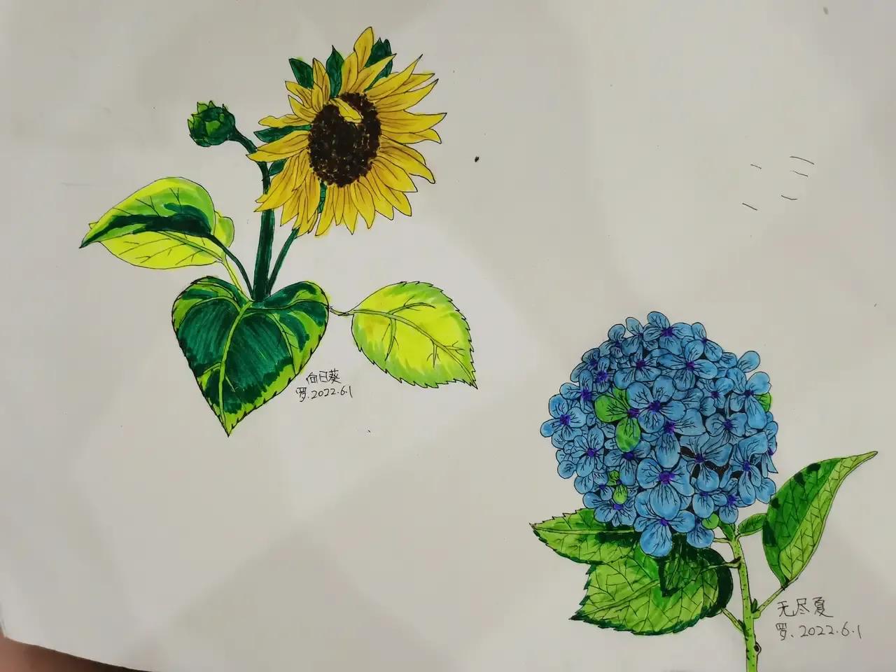 自学画画几年才有成果,自学画画一星期