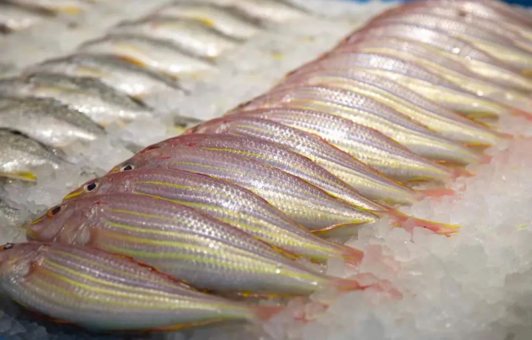 揭密果蔬好（一）：生鲜赛道里的隐形冠军