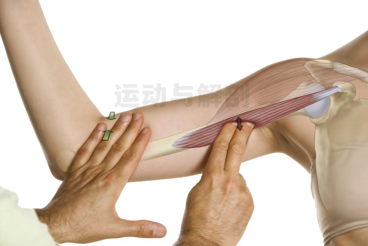 干货形位公差知识详解,干货验收标准及验收方法