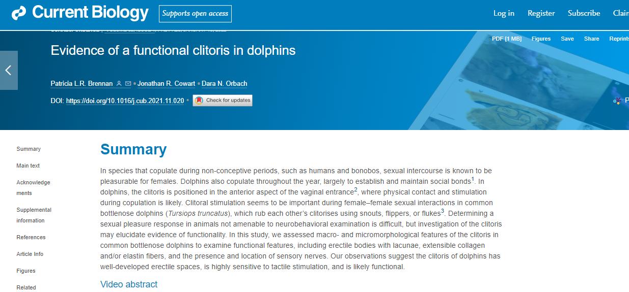 海豚怎么交配？科学家：它们极具侵略性！生殖器某处与人类很相似