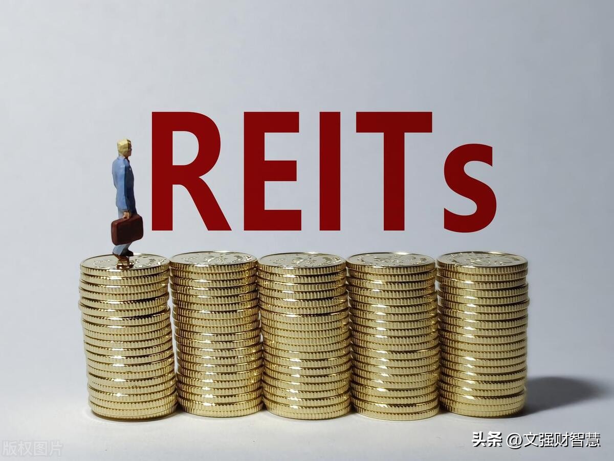 “掏空家产”的REITs，到底有多赚钱？