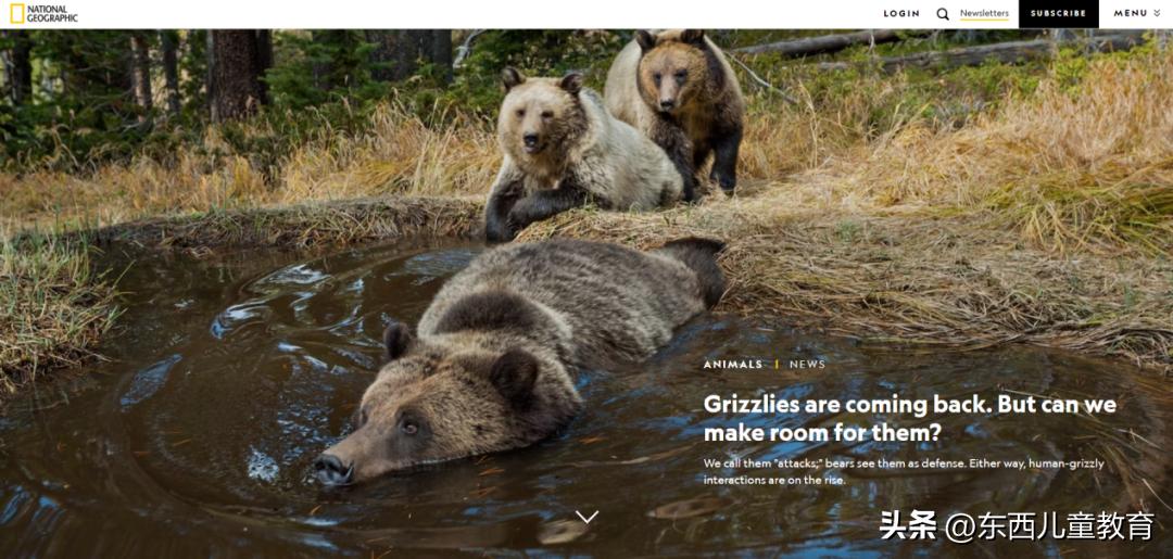 中考英语最难题,今年的中考英语考题难吗