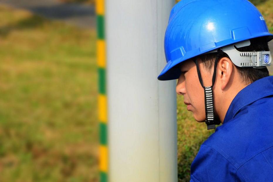 国家电网招聘收费吗,国家电网招聘条件要公务员吗