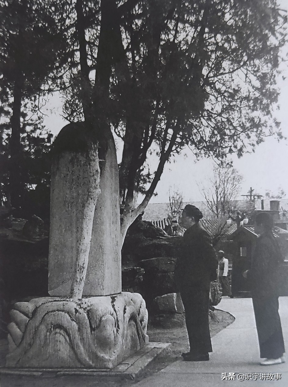 一次看个够！精心收集毛主席100张经典老照片，一起领略伟人风采