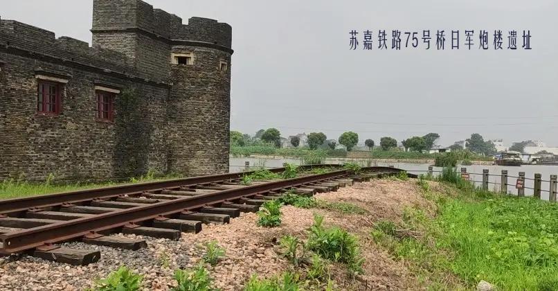 看完日寇的暴行铭记历史勿忘国耻,铭记历史勿忘国耻大屠杀的日子