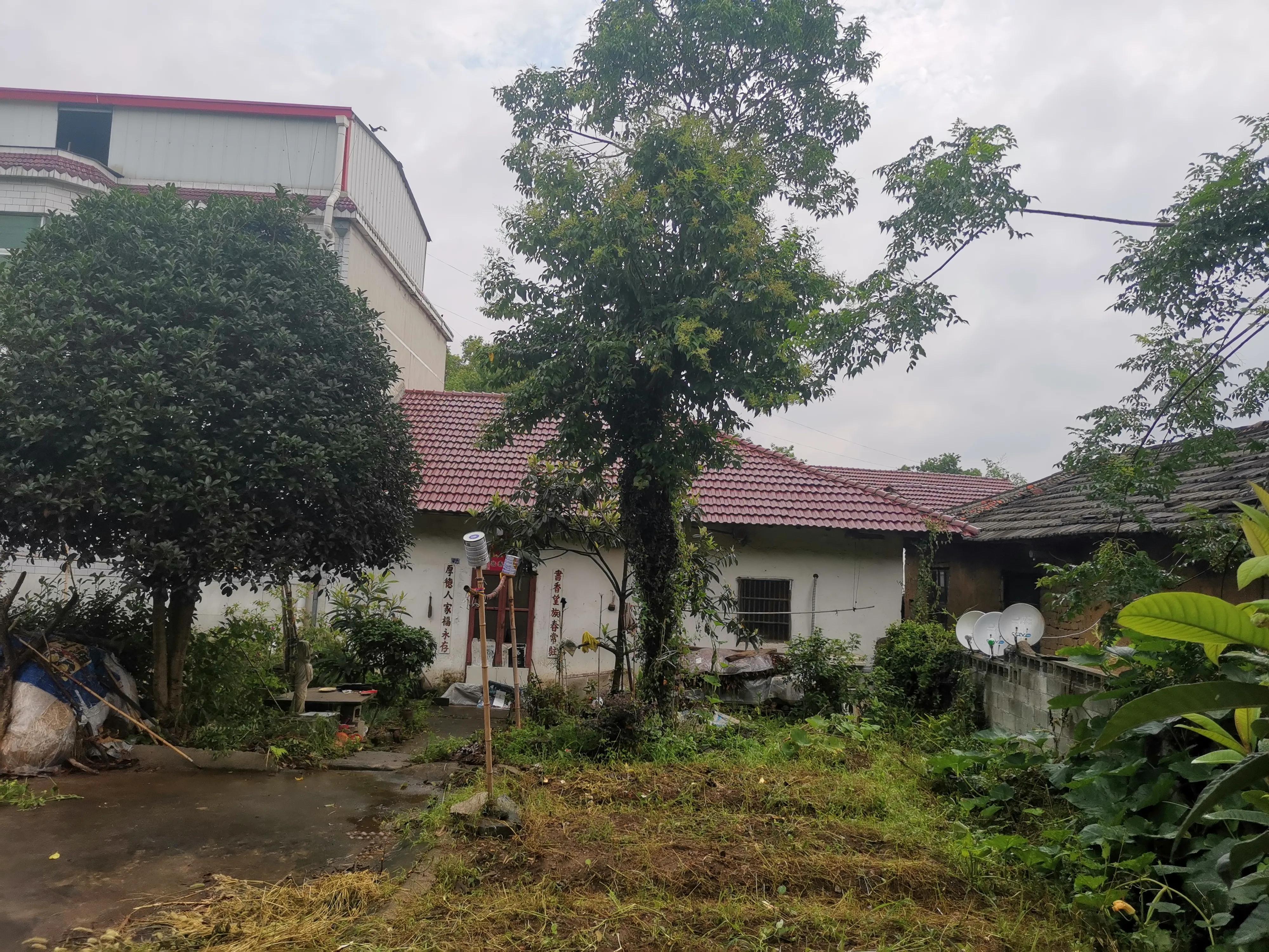 （旧事杂记2）晒小麦