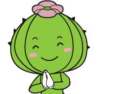 仙人掌花开的如此绚烂,仙人掌开花代表什么