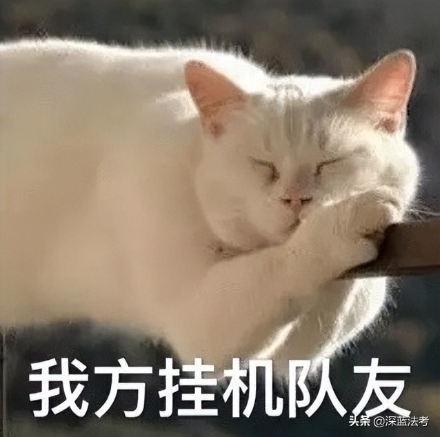 法考大纲都考哪些法律,法考大纲适用主观题吗