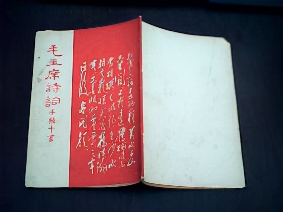 毛*东泽**诗词的赏析