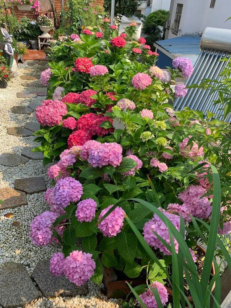 两家共用一个平台怎么解决,两家共用一堵墙发生矛盾怎么处理