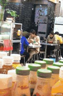 学生适合在宿舍里养的小宠物,在宿舍偷偷养的小宠物