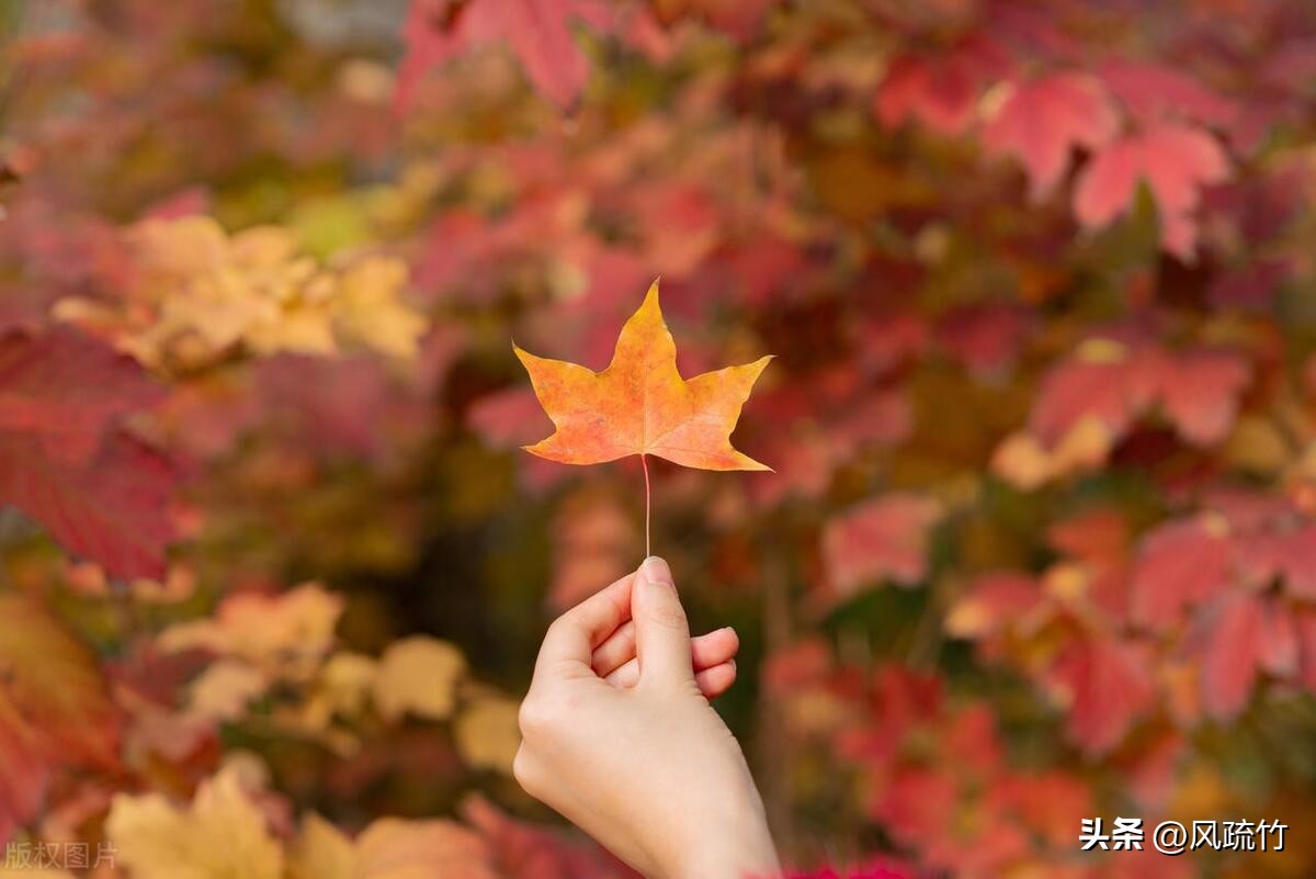 如何面对死亡这件事情,如何面对死亡的书籍