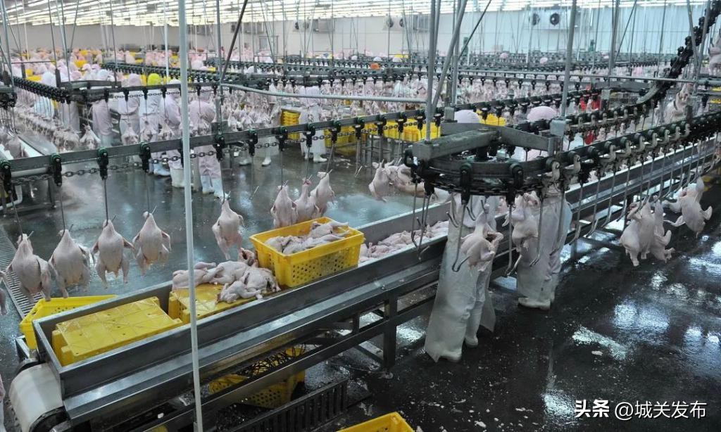 零食边角料和原零食的区别,边角料零食是不是假的