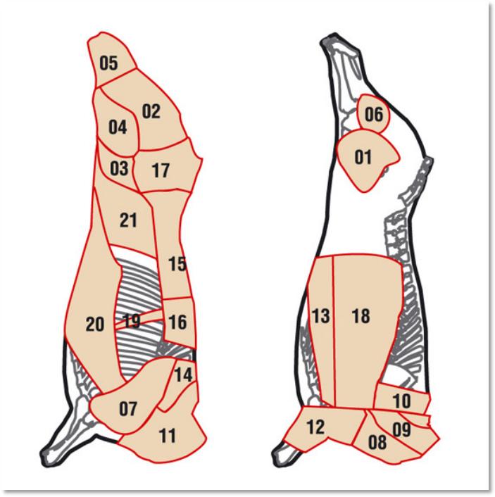 足球世界杯菜品,足球世界杯十大看点